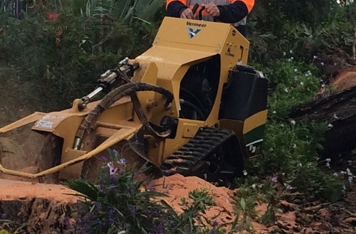 Stump Grinding
