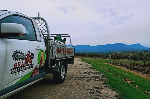branch management ute